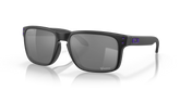 Minnesota Vikings Holbrookâ„¢